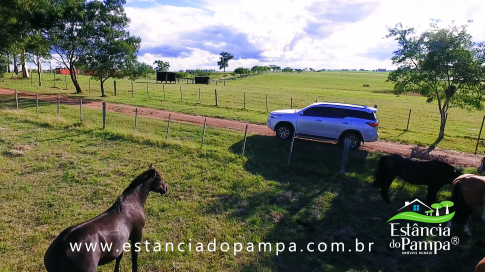 TREM TOP SORGO.00_01_08_16.Quadro028_3f7955e747e1716a1f68bc679d7507150523db88.png